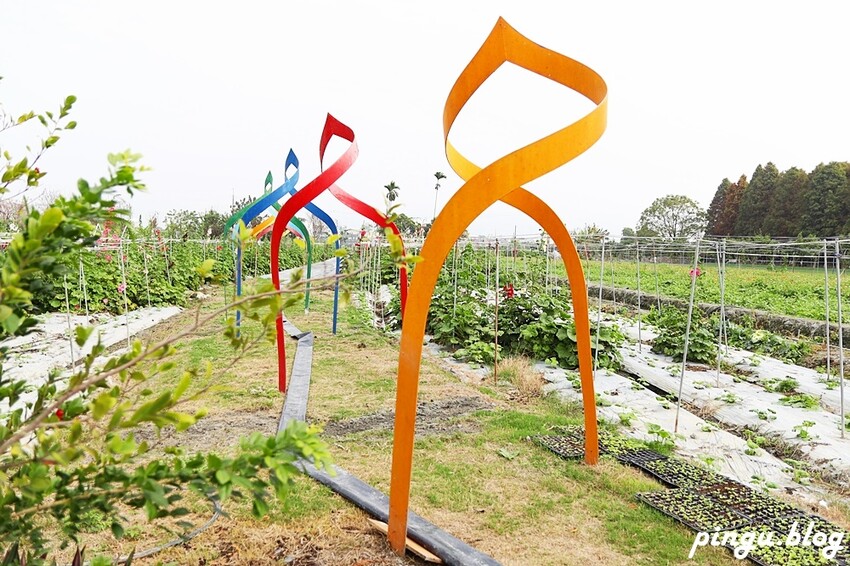 2023田中蜀葵花季開跑!!繽紛的蜀葵花海 宅一起網美景點 美味的桶子雞套餐 手拉坏DIY一次滿足