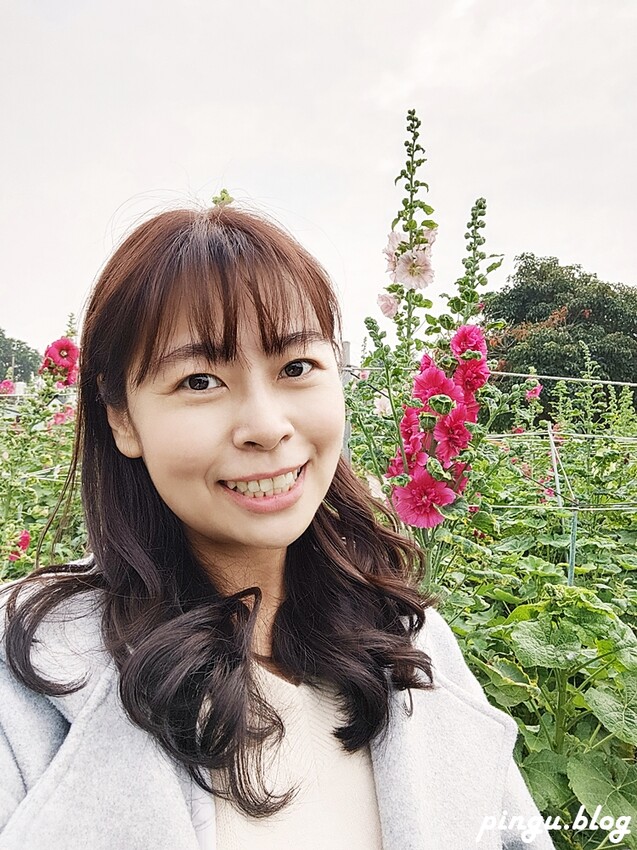 2023田中蜀葵花季開跑!!繽紛的蜀葵花海 宅一起網美景點 美味的桶子雞套餐 手拉坏DIY一次滿足