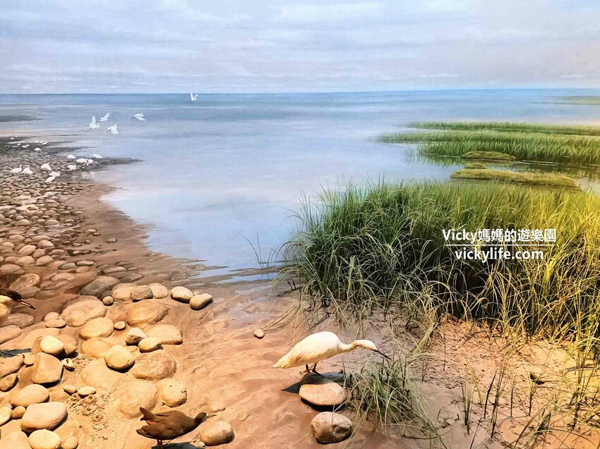 環遊世界七大洲,只要銅板價,還可免費參加雙語解說課程喔