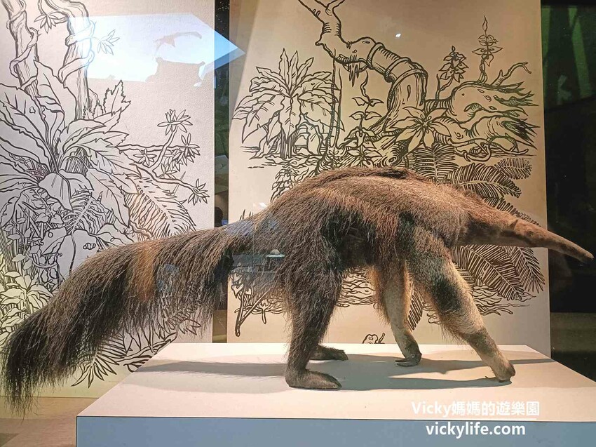 環遊世界七大洲,只要銅板價,還可免費參加雙語解說課程喔