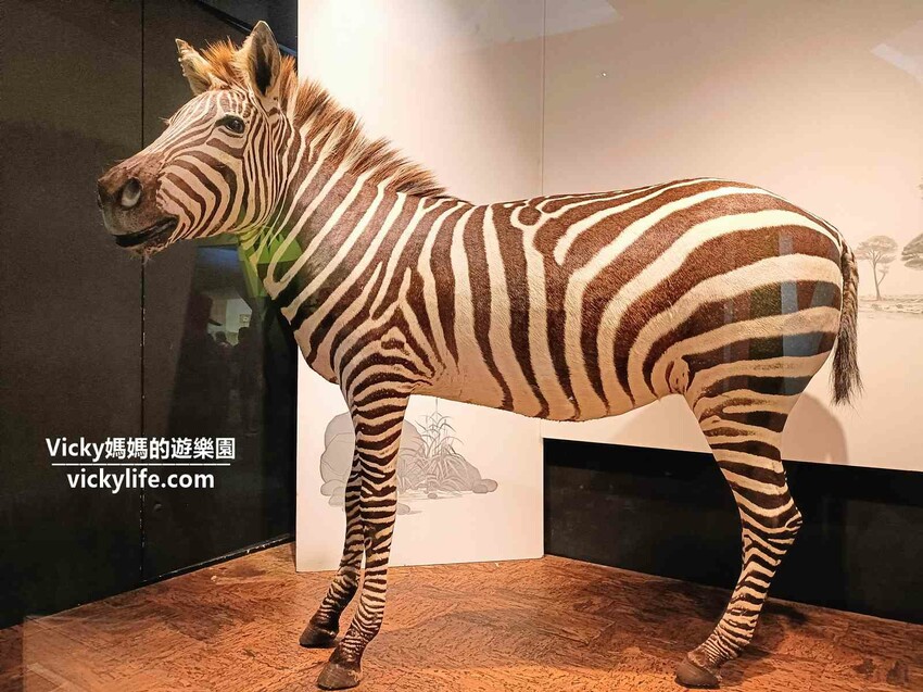 環遊世界七大洲,只要銅板價,還可免費參加雙語解說課程喔