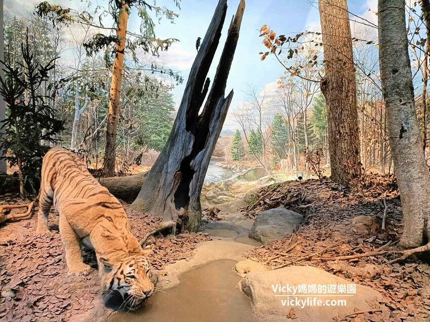 環遊世界七大洲,只要銅板價,還可免費參加雙語解說課程喔