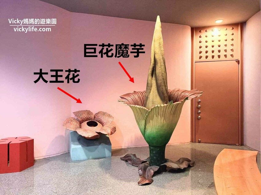 環遊世界七大洲,只要銅板價,還可免費參加雙語解說課程喔