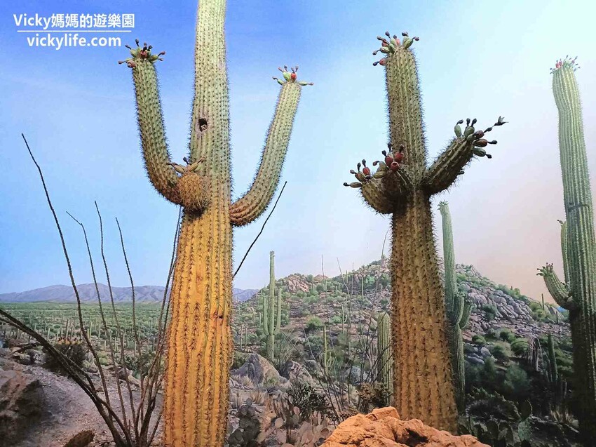 環遊世界七大洲,只要銅板價,還可免費參加雙語解說課程喔