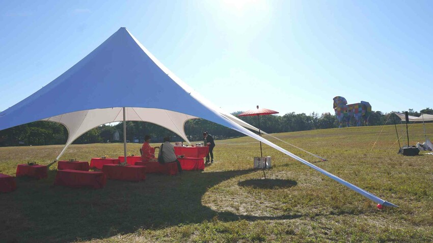 這座農場竟然有4個大安森林公園大，不僅可以騎馬射箭，還可以看特技秀，再來玩腳踏船練體力，想要在大草原上滾來滾去享受大自然也沒問題