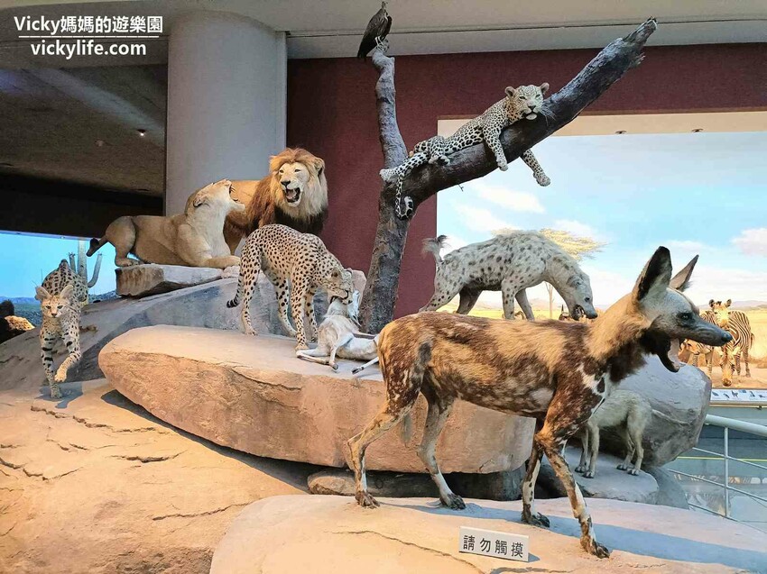 環遊世界七大洲,只要銅板價,還可免費參加雙語解說課程喔