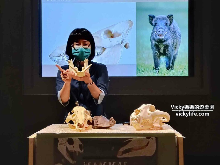 環遊世界七大洲,只要銅板價,還可免費參加雙語解說課程喔