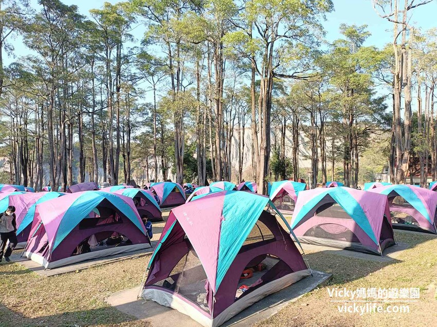 這座農場竟然有4個大安森林公園大，不僅可以騎馬射箭，還可以看特技秀，再來玩腳踏船練體力，想要在大草原上滾來滾去享受大自然也沒問題
