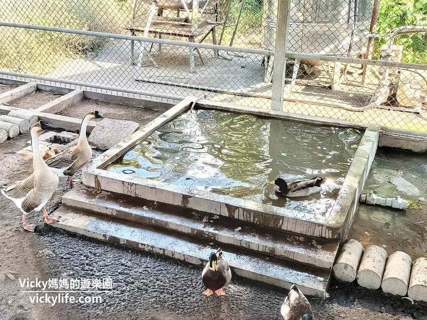這座農場竟然有4個大安森林公園大，不僅可以騎馬射箭，還可以看特技秀，再來玩腳踏船練體力，想要在大草原上滾來滾去享受大自然也沒問題