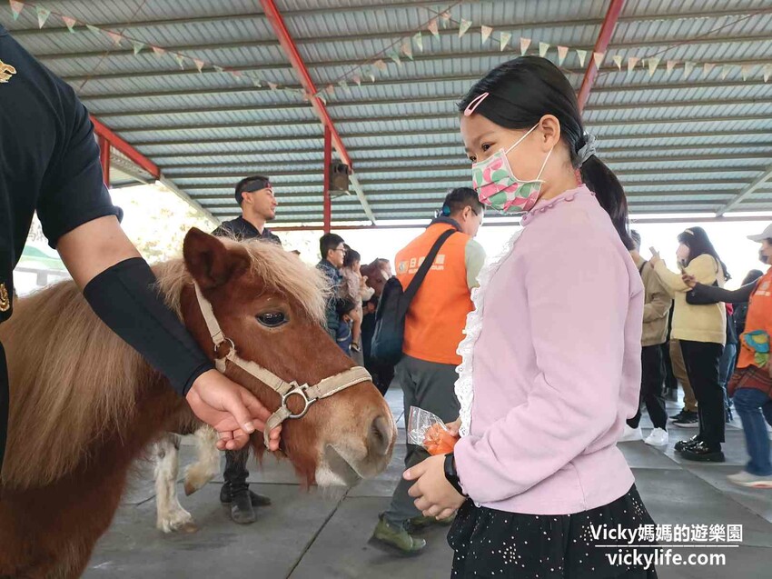 這座農場竟然有4個大安森林公園大，不僅可以騎馬射箭，還可以看特技秀，再來玩腳踏船練體力，想要在大草原上滾來滾去享受大自然也沒問題