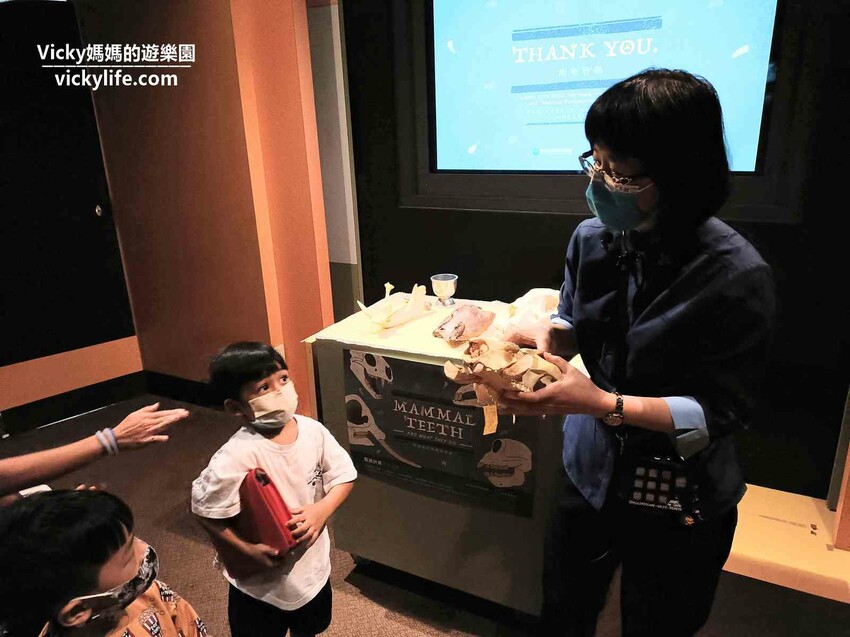 環遊世界七大洲,只要銅板價,還可免費參加雙語解說課程喔