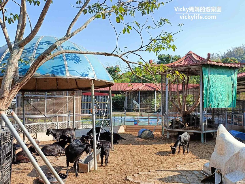 這座農場竟然有4個大安森林公園大，不僅可以騎馬射箭，還可以看特技秀，再來玩腳踏船練體力，想要在大草原上滾來滾去享受大自然也沒問題