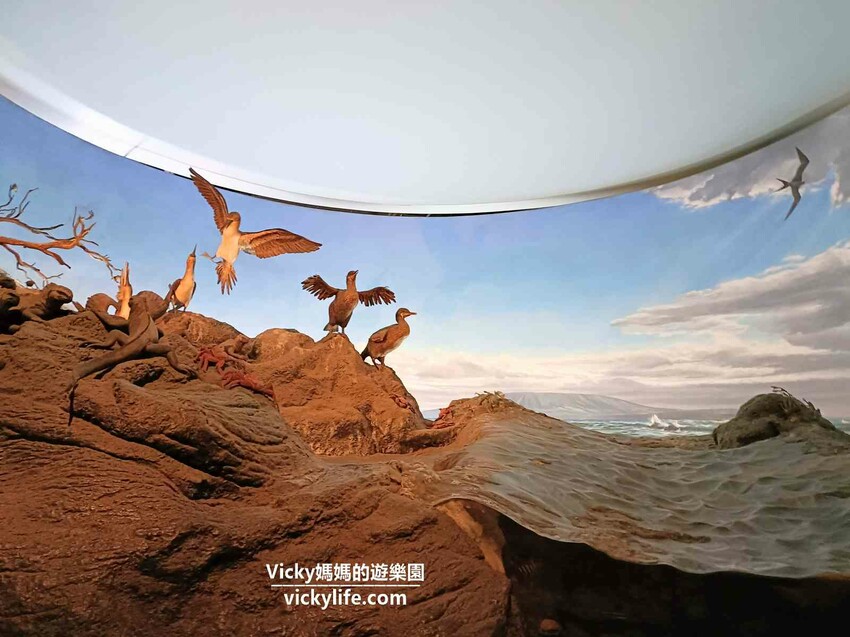 環遊世界七大洲,只要銅板價,還可免費參加雙語解說課程喔