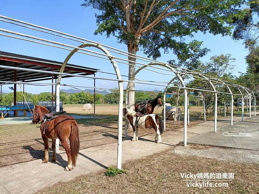 這座農場竟然有4個大安森林公園大，不僅可以騎馬射箭，還可以看特技秀，再來玩腳踏船練體力，想要在大草原上滾來滾去享受大自然也沒問題