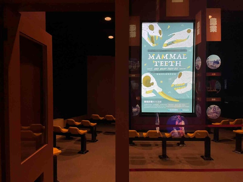 環遊世界七大洲,只要銅板價,還可免費參加雙語解說課程喔