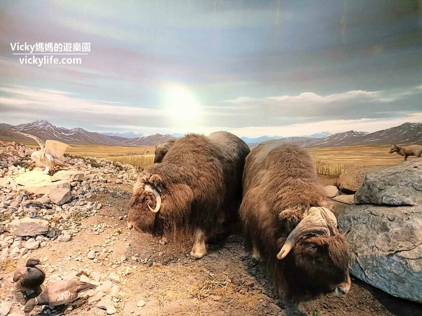 環遊世界七大洲,只要銅板價,還可免費參加雙語解說課程喔