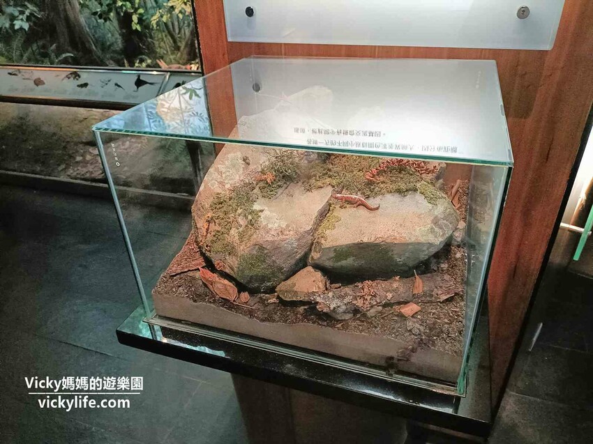 環遊世界七大洲,只要銅板價,還可免費參加雙語解說課程喔