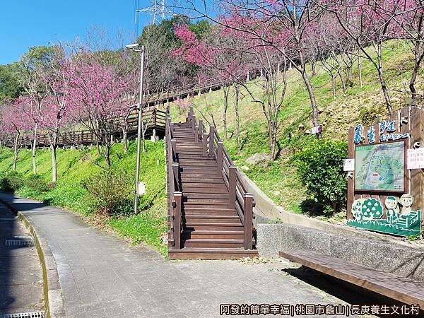 長庚養生文化村07-八重櫻木棧步道入口.jpg