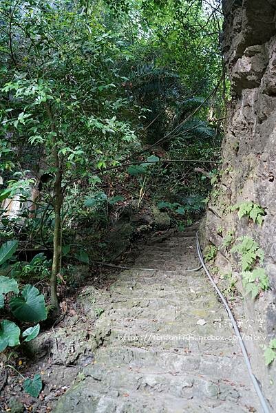 【高雄景點】田寮一線天|石母乳|欣賞大自然的鬼斧神工 是到高雄不可錯過的密境 (12).jpg