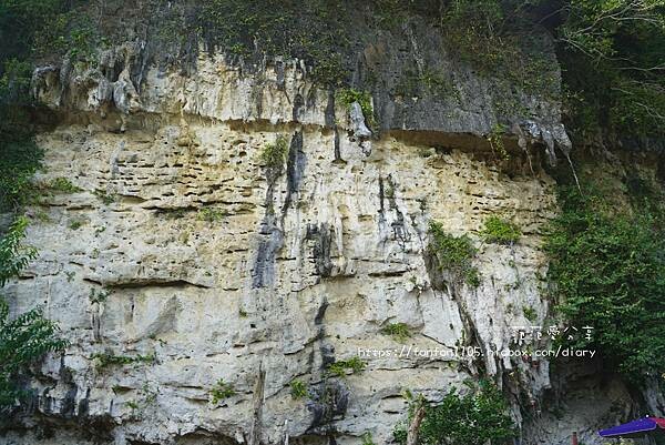 【高雄景點】田寮一線天|石母乳|欣賞大自然的鬼斧神工 是到高雄不可錯過的密境 (14).jpg