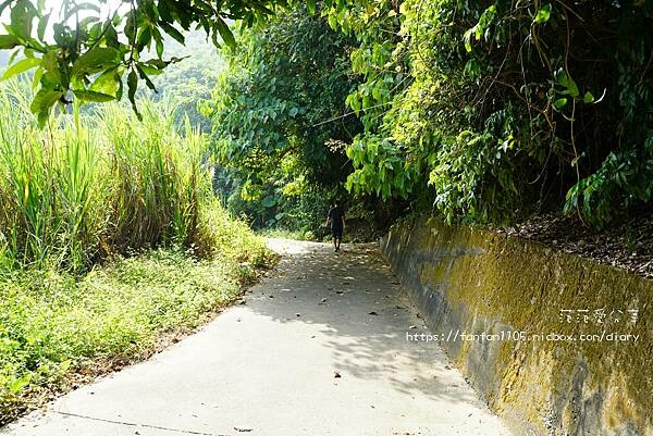 【高雄景點】田寮一線天|石母乳|欣賞大自然的鬼斧神工 是到高雄不可錯過的密境 (3).jpg