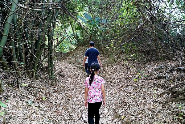 【高雄景點】小滾水泥火山 看泥火山噴發 咕嚕咕嚕 非常棒的大自然教育 (3).jpg 【高雄景點】小滾水泥火山 看泥火山噴發 咕嚕咕嚕 非常棒的大自然教育 (3).jpg
