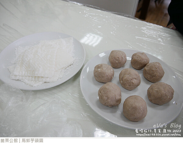 馬郭芋頭園-17.jpg