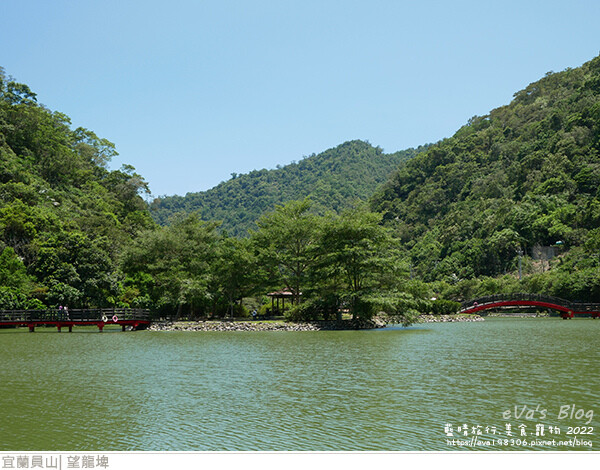 【宜蘭景點】望龍埤(寵物友善景點)，四周綠意盎然，湖岸有很多落羽松，綠油油的落羽松林看起來也很漂亮，漫
