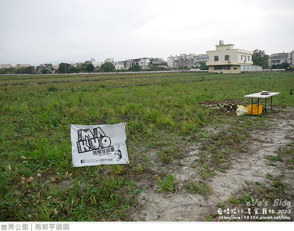 馬郭芋頭園-26.jpg