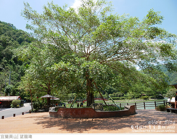 【宜蘭景點】望龍埤(寵物友善景點)，四周綠意盎然，湖岸有很多落羽松，綠油油的落羽松林看起來也很漂亮，漫