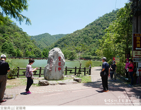 【宜蘭景點】望龍埤(寵物友善景點)，四周綠意盎然，湖岸有很多落羽松，綠油油的落羽松林看起來也很漂亮，漫