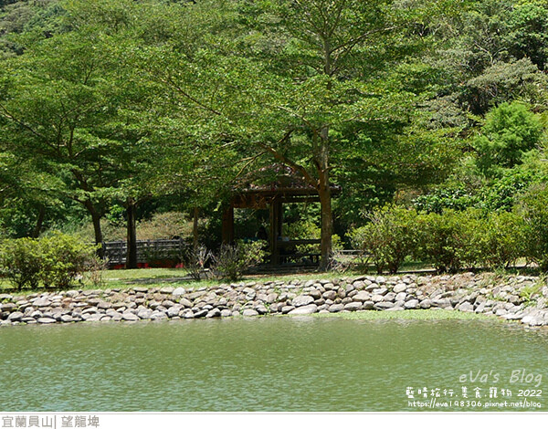 【宜蘭景點】望龍埤(寵物友善景點)，四周綠意盎然，湖岸有很多落羽松，綠油油的落羽松林看起來也很漂亮，漫