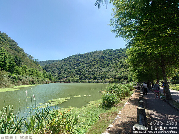 【宜蘭景點】望龍埤(寵物友善景點)，四周綠意盎然，湖岸有很多落羽松，綠油油的落羽松林看起來也很漂亮，漫