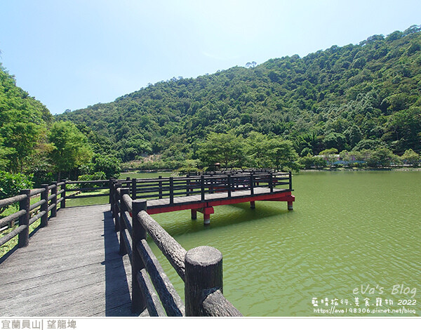 【宜蘭景點】望龍埤(寵物友善景點)，四周綠意盎然，湖岸有很多落羽松，綠油油的落羽松林看起來也很漂亮，漫