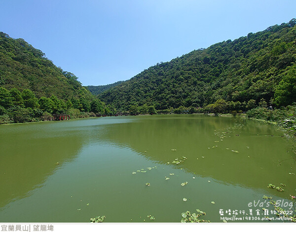 【宜蘭景點】望龍埤(寵物友善景點)，四周綠意盎然，湖岸有很多落羽松，綠油油的落羽松林看起來也很漂亮，漫