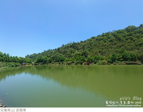 【宜蘭景點】望龍埤(寵物友善景點)，四周綠意盎然，湖岸有很多落羽松，綠油油的落羽松林看起來也很漂亮，漫