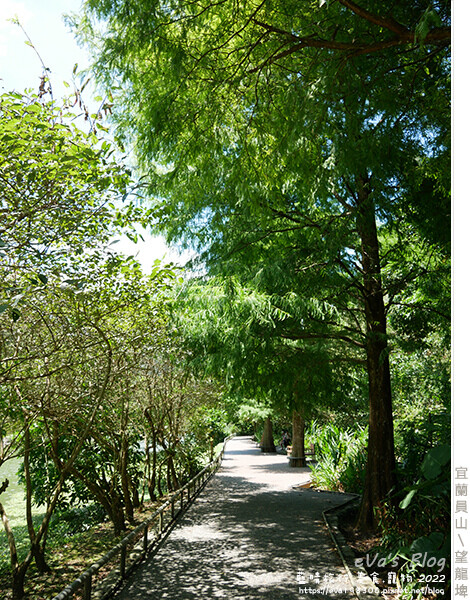 【宜蘭景點】望龍埤(寵物友善景點)，四周綠意盎然，湖岸有很多落羽松，綠油油的落羽松林看起來也很漂亮，漫