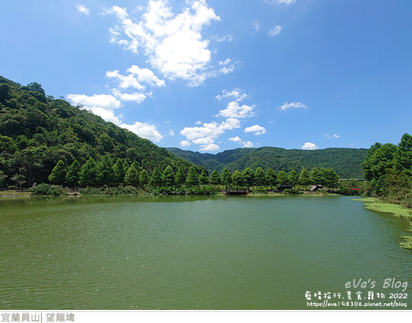 【宜蘭景點】望龍埤(寵物友善景點)，四周綠意盎然，湖岸有很多落羽松，綠油油的落羽松林看起來也很漂亮，漫