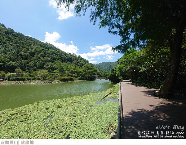 【宜蘭景點】望龍埤(寵物友善景點)，四周綠意盎然，湖岸有很多落羽松，綠油油的落羽松林看起來也很漂亮，漫