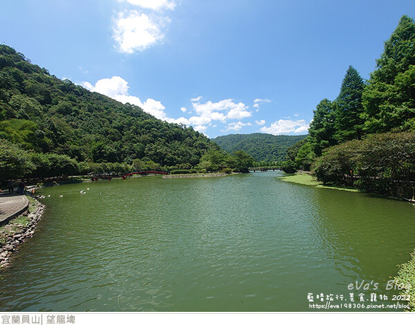 【宜蘭景點】望龍埤(寵物友善景點)，四周綠意盎然，湖岸有很多落羽松，綠油油的落羽松林看起來也很漂亮，漫