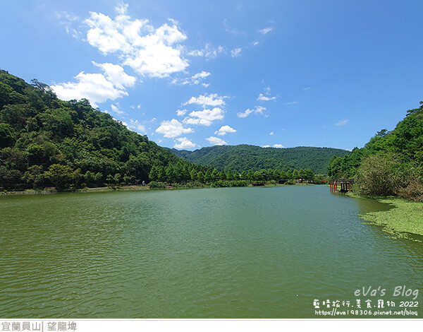 【宜蘭景點】望龍埤(寵物友善景點)，四周綠意盎然，湖岸有很多落羽松，綠油油的落羽松林看起來也很漂亮，漫