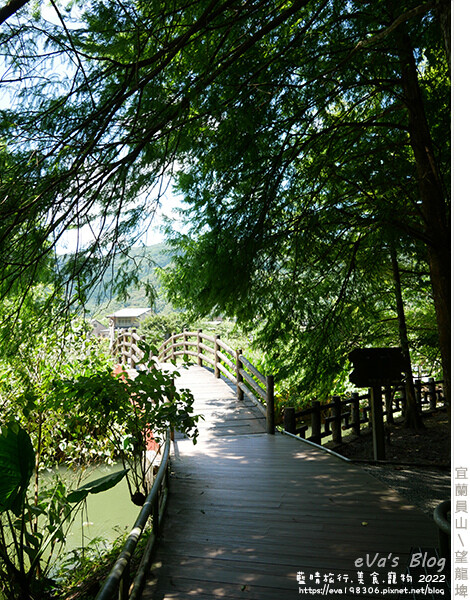 【宜蘭景點】望龍埤(寵物友善景點)，四周綠意盎然，湖岸有很多落羽松，綠油油的落羽松林看起來也很漂亮，漫