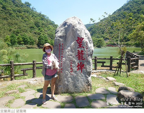 【宜蘭景點】望龍埤(寵物友善景點)，四周綠意盎然，湖岸有很多落羽松，綠油油的落羽松林看起來也很漂亮，漫