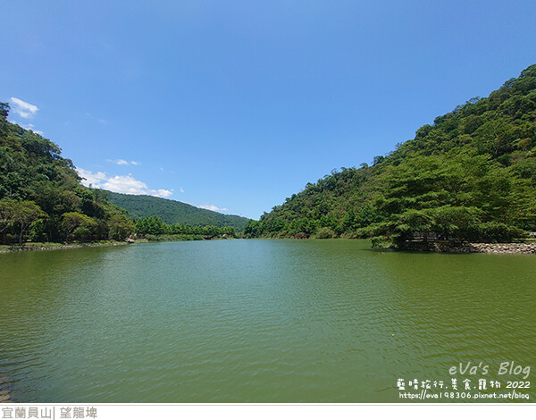 【宜蘭景點】望龍埤(寵物友善景點)，四周綠意盎然，湖岸有很多落羽松，綠油油的落羽松林看起來也很漂亮，漫