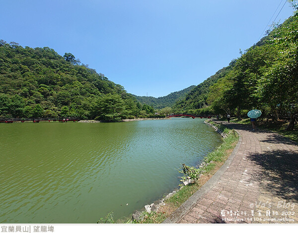 【宜蘭景點】望龍埤(寵物友善景點)，四周綠意盎然，湖岸有很多落羽松，綠油油的落羽松林看起來也很漂亮，漫