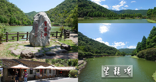 【宜蘭景點】望龍埤(寵物友善景點)，四周綠意盎然，湖岸有很多落羽松，綠油油的落羽松林看起來也很漂亮，漫