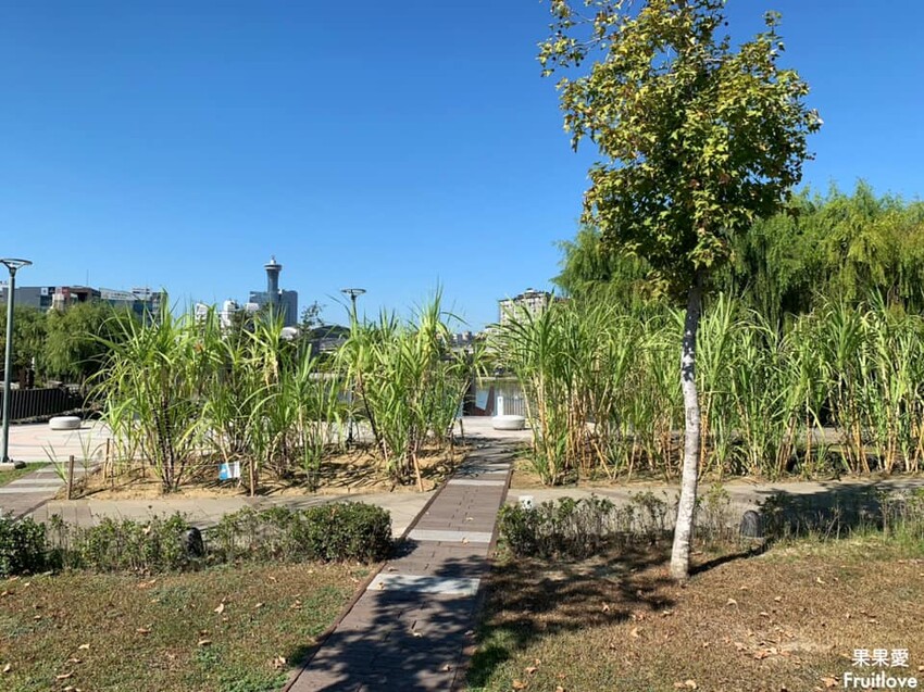 湧泉公園 (台糖湖濱生態園區)⟩悠閒地漫步在舊糖廠,探索生態、享受微風、自由騎乘或是湖畔發呆 @果果愛Fruitlove
