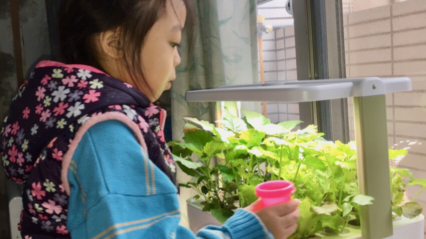 [開箱] lalagoon喇喇棍水耕機｜在家打造迷你菜園！實現新鮮蔬菜現採現吃的夢想