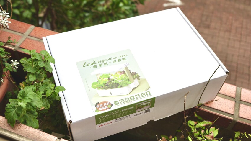 [開箱] lalagoon喇喇棍水耕機｜在家打造迷你菜園！實現新鮮蔬菜現採現吃的夢想