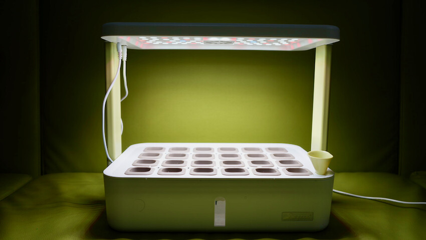 [開箱] lalagoon喇喇棍水耕機｜在家打造迷你菜園！實現新鮮蔬菜現採現吃的夢想